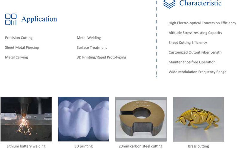 Single Module CW Fiber Lasers (1)