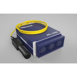 Raycus 30W Q-Switched Pulse Fiber Laser Source for Marking RFL-P30QS